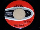 Northern Soul 45 RPM Johnny Maestro on Scepter 12112