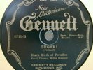 35) BLACK BIRDS of PARADISE   ELECTROBAM GENNETT 6211