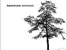 25xVinyl, Minimal, Elektro, Techno, G. Ananda, Vincenzo
