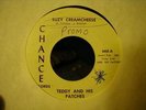 TEDDY & HIS PATCHES GREAT GARAGE 45 CHANCE 668 HEAR IT