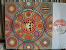 WEB - FULLY INTERLOCKING, DERAM