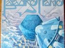PARADISE FRAME  COSMIC DISCO BALDELLI LISTEN