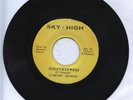 SKY HIGH/TOGETHERNESS - CLINTON FEARON [ROOTS REGGAE]