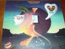 NICK DRAKE- PINK MOON