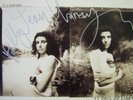 PJ Harvey Signed Is this Desire? LP 12