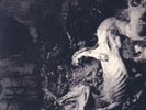 MUTIILATION : black millenium... - LP neuf limited 400