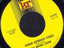 DRIVING STUPID-45-ULTRA 1966 IL. Garage/Punk=PUNKADELIC