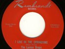 THE LEMON DROPS-I Live in the Springtime-Rembrandt hear