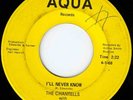 Chantells - I'll Never Know - Northern Soul