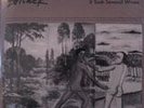 Bohack- It Took Several Wives LP VIncent Gallo Basquiat