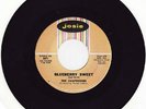 RARE DOO-WOP - CHAPERONES - BLUEBERRY SWEET - HEAR