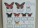 The Jam - The Butterfly Collector - rare 1980 double