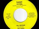 Rare WI. punkish Garage - The Faros on '66 Target,Fuzz