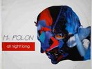 ITALIAN ZONE/ MR POLON 