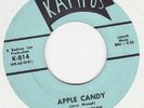 SKEPTICS Apple Candy KILLER '67 Oklahoma Garage Punk 45