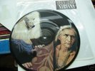 NIRVANA, Jesus Lizard pic disc 7