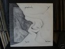 PATCH-  TYRA-  PRIVAT DUTCH- SYMPH/PROG.