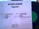 WINDFLOWER Dreams RARE LP psych rock title cover MINT