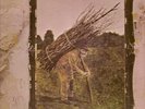LED ZEPPELIN. 1V. ALBUM. LP. WHITE LABEL.MINT.VERY RARE