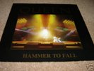 Queen-Hammer to fall 12