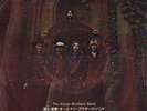 ALLMAN BROTHERS-BAND BLACK HEARTED WOMAN-JAPAN 7'