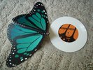 SAVES THE DAY ACOUSTIC 7