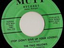 RARE NORTHERN SOUL - THE TWO FELLOWS - MUTT 