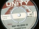 Reggae Boys - What You Gonna Do - MINT **LISTEN**