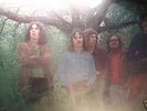 LP Haze Hazecolor-Dia Bacillus Ger Krautrock 6494007 D