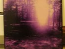 Torgeist/Vlad Tepes LP,Mayhem,Mutiilation,Watain,Burzum