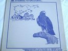 TECWYN IFAN -TOP RARE UK PSYCH FOLK POKORA 05 STARS