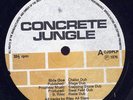 Riley Allstars Concrete Dub Ultra RARE UK LP Listen