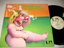 Rare MISSING LINK Nevergreen Prog Psych Jazz LP Import