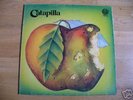 CATAPILLA Rare Erste Lp U.K. Prog Psych SWIRL 1971 M--