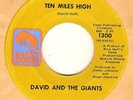 NORTHERN SOUL 45 - DAVID & THE GIANTS ON CRAZY HORSE