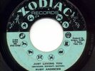 Ruby Andrews Original Just Loving You Northern Soul