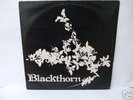 BLACKTHORN RARE UK FOLK LP ON WHM 1977 VERY VERY NEAREX