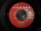 Rare Texas Garage Psych The Outcasts on Gallant  LISTEN