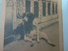ACTIVE DOG 45 RARE PUNK KBD POINTED STICKS MODERNETTES