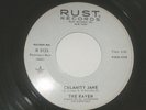 THE RAVEN-CALAMITY JANE, RUST, DJ WL PROMO, PUNK