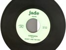 RARE Garage/Rock 45 Randy & Rest w/Promo Photo-HEAR IT