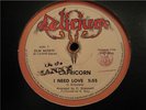 CAPRICORN I Need Love RARE ITALO DISCO ON DELIRIUM HEAR