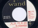 **RARE** MASQUARADERS on WAND