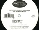 CHARLEMAGNE EP.Natural Elements..RARE..ORIG..1994