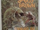 SAVOY BROWN Looking In Orig. SEALED Psych Blues LP