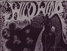 WILD WIND Sound Triangle 1974 FL Latin psych funk orig