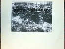 MB MAURIZIO BIANCHI NH HN 80x 1981 LP tg whitehouse spk