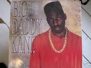 BIG DADDY KANE sEt it off Extended Mix RARE UK only 12
