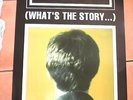 OASIS WHATS THE STORY MORNING GLORY PROMO POSTER V RARE