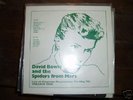 david BOWIE - LIVE AT KINGSTON 72 VOLUME ONE